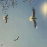 dolce-far-niente2